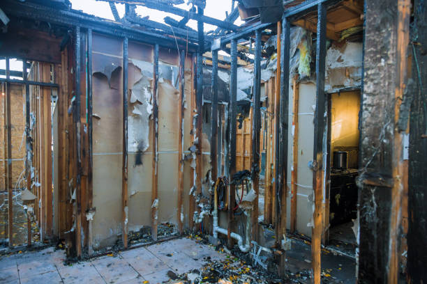Professional Fire Damage Removal technician working in Silver Spring, MD